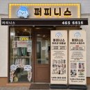 매료 돌스(MAELYO DOLLS) 네이버블로그