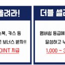 플랜지니 네이버블로그