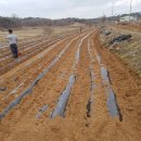 성근농장 이미지