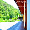 순천 연리지 한옥 | 순천한옥감성숙소 l 독채펜션 l 부모님 모시고 가기 좋은 곳 l 연리지 한옥펜션 후기