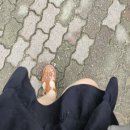 차 떠나가라 소리칠꺼야