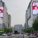 스타피카소