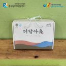 더담아유 이미지