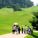 공주-10 이미지