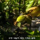 수정-28 이미지