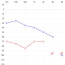 부여박진우보청기