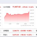 (주)다우바이오 네이버블로그