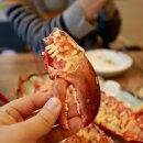 금강회수산 이미지