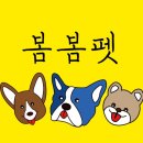 봄봄펫 이미지