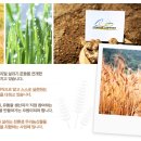 (주)우리농촌살리기공동네트워크 이미지