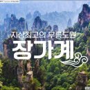 온박 이미지