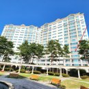 늘참조은약국 이미지