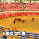 하키경기장(중앙)화장실 | 경북 청도 가볼만한곳 청도 소싸움 경기장 일정 경기 후기