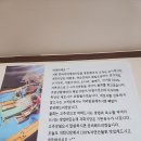 영덕물회 이미지