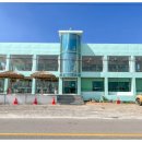 할리베어 이미지