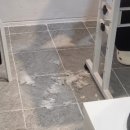 벌거벗은 고양이 이미지