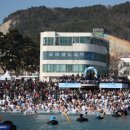 거제도국제펭귄수영축제 이미지