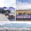 CU(벚꽃점) 이미지