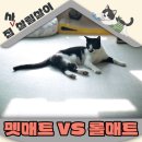 덕정6리(별무늬A) | 펫매트 VS 롤매트 고양이집에 맞는매트 딱 정해드려요 4년 실사용후기