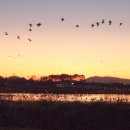 의항해수욕장 입구 이미지