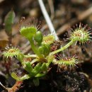 흥부의주걱 이미지