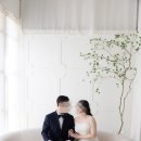 [Wed #25] 사설 보정 업체 :: 도로시(dorothiiiiiii)보정 후기!