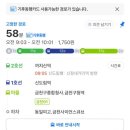 다연이네 | 어떤 말은 소리 없이 피어나