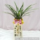 구지면 행정복지센터 이미지