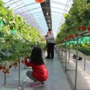 부창농장 이미지