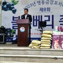 영동금강모치마을 이미지