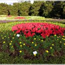 동남(아) 이미지