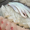 거구횟집 이미지