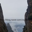 금수당 - 청주시 상당구 상당로 16 | 금수당
