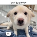 이룸 피티 존 | [5월 일기] 모든 것이 가하다