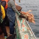 동해-단속-40 이미지