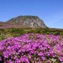 한라산국립공원관음사지구야영장 이미지