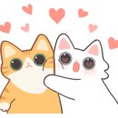 아리플라워 이미지