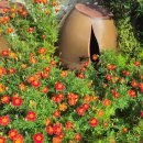 두륜산관광펜션 이미지