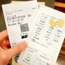 요네즈 켄시 2025 라이브 투어 「정크」아이치 2일,3일차 후기가 주요한 나고야 짭여행기 를 건너뛰고...