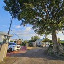 제주조우아 조수 이미지