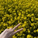 웅천읍 노천리534-1 이미지