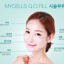 퓨네이처 이미지