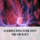 내 손끝에서 피어난 뜨개질 이야기 작품 기록 및 후기