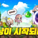 헬로메이플