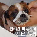 펫피르그루밍 이미지