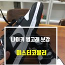 미스터덩크 이미지