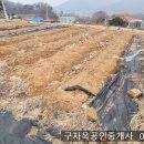 강화읍-10 이미지