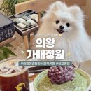 고기굽는정원 | 의왕 애견동반 카페 가배정원｜떡 구워먹는 감성카페 내돈내산 후기