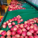 거창-고제-5 이미지