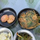 통영 동피랑마을 루프탑술집 해물포차 워터프론트/ 애견동반가능